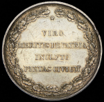 Медаль "Граф Р Г  Ребиндер"